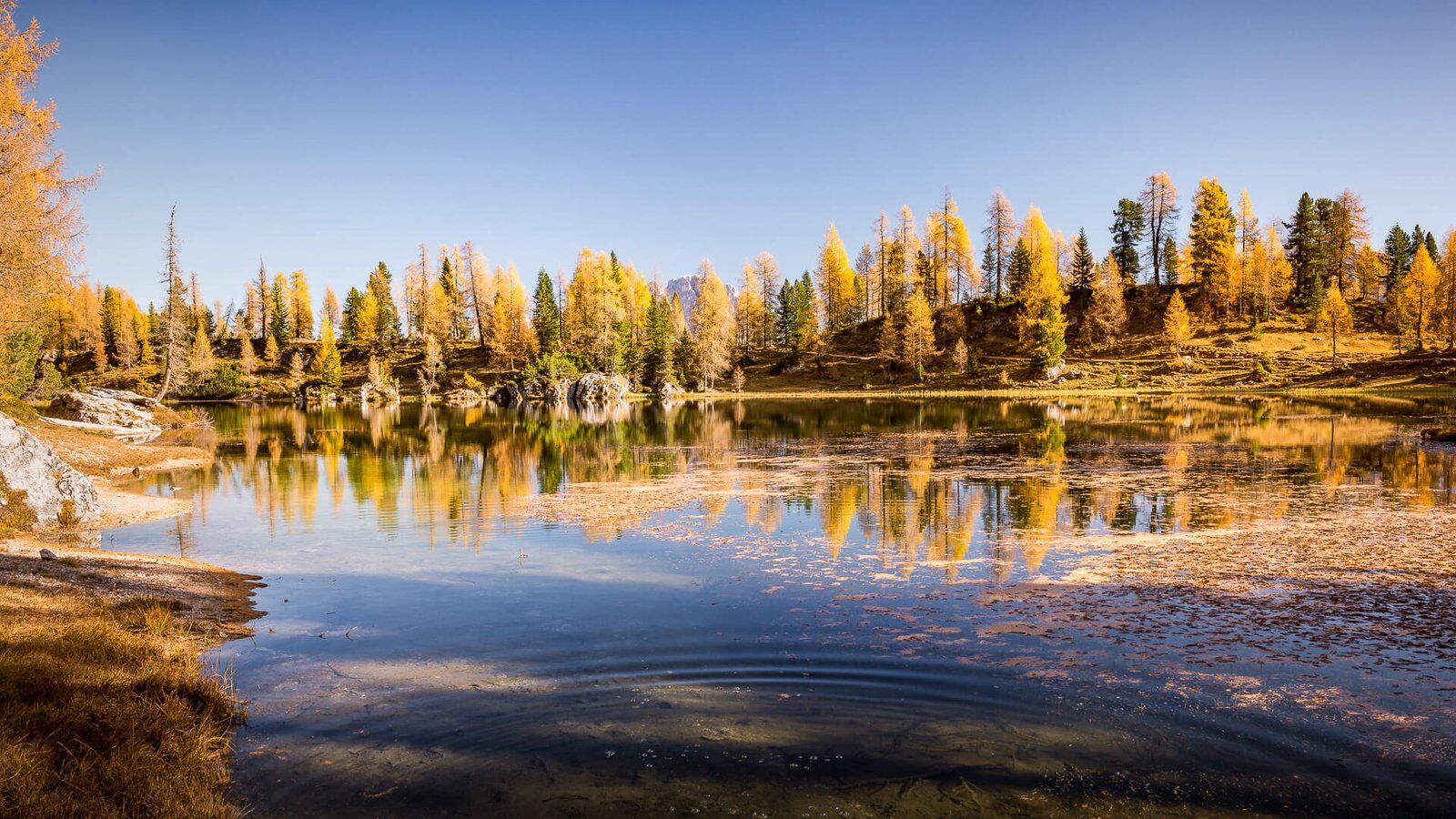 Ruhige, herbstliche Aufnahme am fr&uuml;hen Morgen am Federasee in den Dolomiten