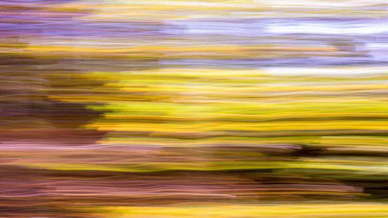 Bewusst verwischte Fotografie von herbstlichen B&auml;umen am Waldesrand