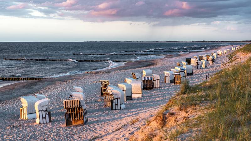 Weiter Blick &uuml;ber Ostseestrand mit den t&uuml;pischen Strandk&ouml;rben im Abendlicht